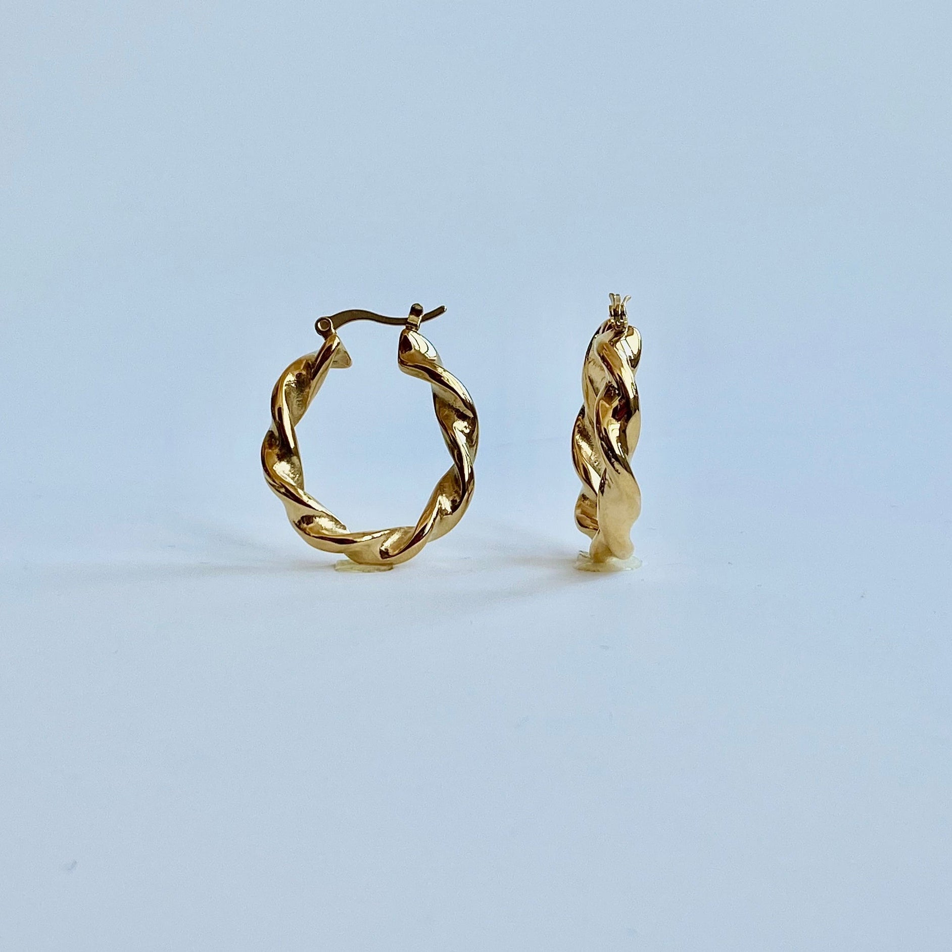 Venus earrings